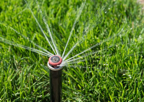 Image for event: Getting to Know Your Sprinklers