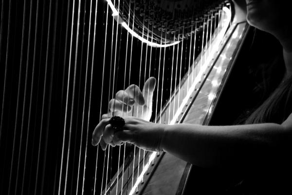 Image for event: HarpEssence Concert