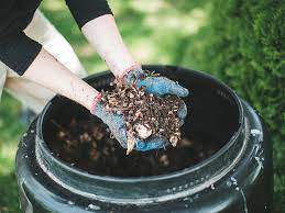 Image for event: The Wonders of Compost: When Trash Becomes Treasure